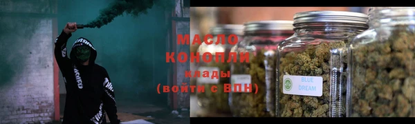 СК Алексин