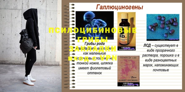 ГАЛЛЮЦИНОГЕННЫЕ ГРИБЫ Абинск