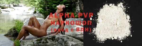 a pvp Новодвинск