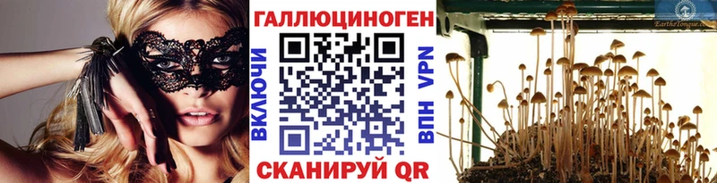 Галлюциногенные грибы Psilocybine cubensis кракен ТОР Миллерово