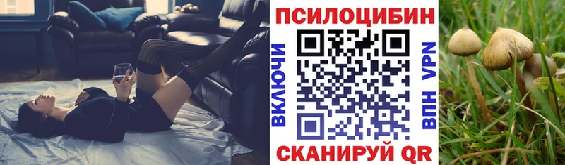Псилоцибиновые грибы GOLDEN TEACHER Миллерово