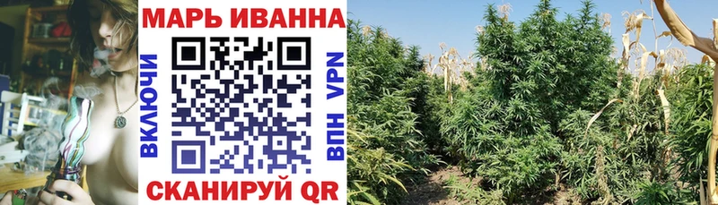 закладка Миллерово Канабис Ganja